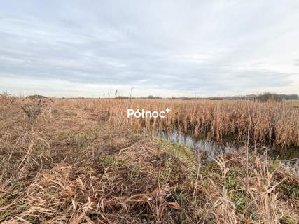 Działka rolna 0,84 ha Turka, gmina Dorohusk
