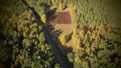 Działka 1,8ha ul. Błońska Nadarzyn S8 MPZP