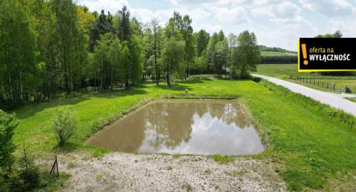 DZIAŁKA BUDOWLANA PRZY LESIE ZE STAWEM 6100 m2