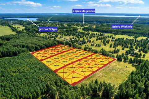 Okolica jeziora Dołgie i kompleksów leśnych.