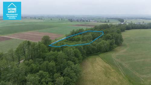 Działka z WZ i pozw. na budowę w otoczeniu lasu.