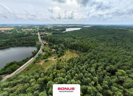 Działka 3974 m2 w otoczeniu lasu