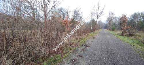 Działka Budowlana 1122 m Budy Grzybek