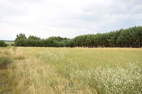 Działka budowlana 8 200 m2