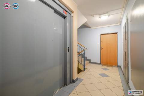 Ustawne Trójstronna ekspozycja Wyposażone