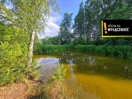 Działka ze stawem i lasem koło Solca Zdroju