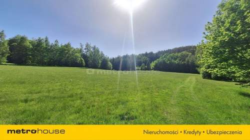 Działka budowlana na sprzedaż, 1431 m2, Podgórzyn