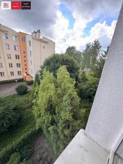 Kawalerka do własnej aranżacji - Chylonia