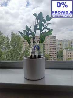 Wola lokal biurowy 234 m2 do wynajęcia