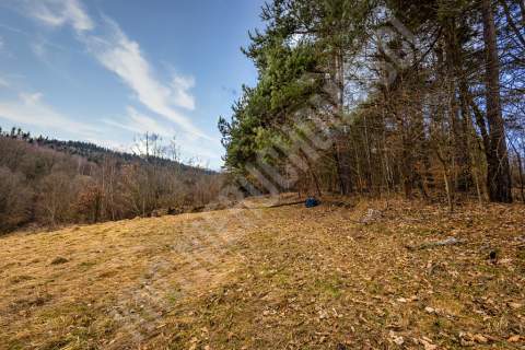 Krzeszów działka budowlana 870 m2. Polecamy