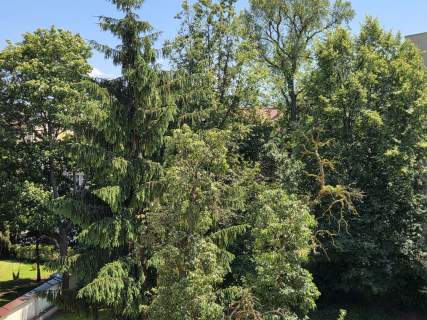 101 m blisko Rynku Funkcjonalna przestrzeń do mieszkania lub...