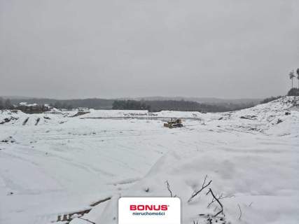 5ha ze stawem i projektem 12 domków