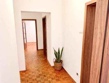 Canaletta/pełen rozkład/balkon/loggia/piwnica