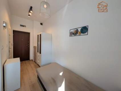 Wróblewskiego 54 - studio, pet friendly