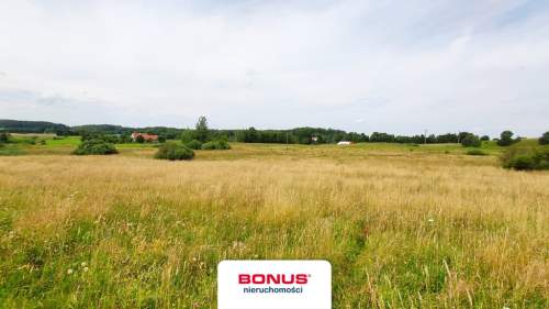 Duża działka rolna w Dercu