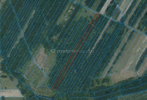 Działka rolna na sprzedaż, 5000 m2, Czułów