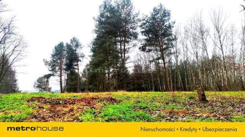 Sprzedam dużą działkę z WZ, Suliszew k.Skierniewic