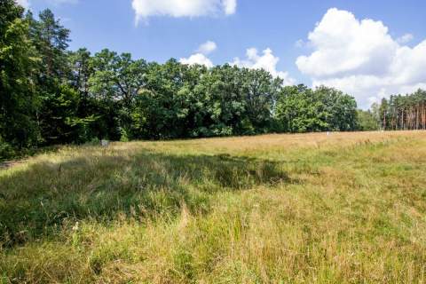 Działka otoczona lasami 585m2 Koszęcin 160zł/m2