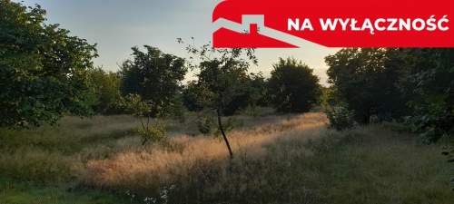 Ładna, uzbrojona działka pod lasem-33a-Wilczopole
