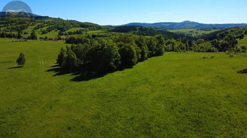 Działka 4090 m2 z warunkami zabudowy - Boreczna