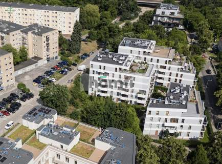 Wyjątkowe 3 pokojowe mieszkanie na Sołaczu