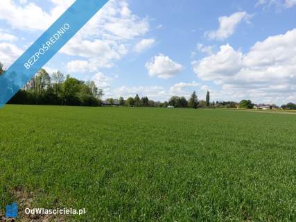 Skoczów Pruchna 1,15ha pod zabudowe jednorodzinną i stadnine