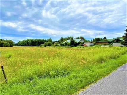 Działka budowlano-rolna 11 800 m2 m2 w gm. Radziejowice
