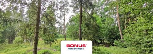 Działka budowlana w otoczeniu lasów i jezior