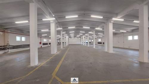 Magazyn 700 m2 ogrzewany z rampą przy A1