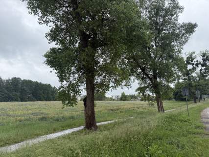 DZIAŁKA INWESTYCYJNA 1,60 HA OLSZTYNEK