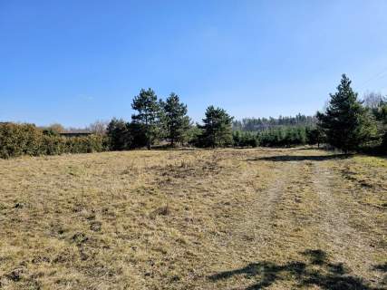 Działka budowlana 8600 m2 w klimatycznej miejscowości / MPZP...