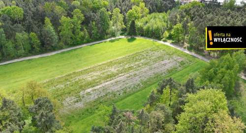 DZIAŁKA ROLNA ŚWIDNO GM. KRASOCIN 3992 M2