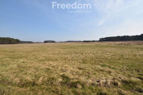 Działka 53 980 m2, 2 domy b.gospodarczy,staw, las