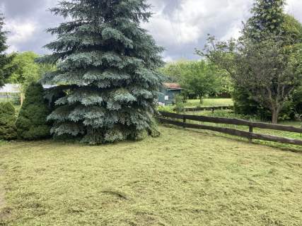 Rekreacyjna ROD w centrum Buałegostoku 298m2