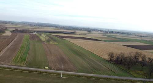 Działka z WZ w Rogóżnie 0,26ha