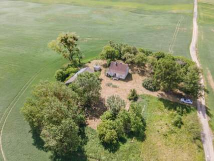 Siedlisko bez sąsiadów 4400 m2 prywatności Stary sad i wę