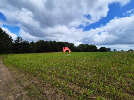 PRZY LESIE DZIAŁKA 3.000M2 STARY JASINIEC Z W.Z.