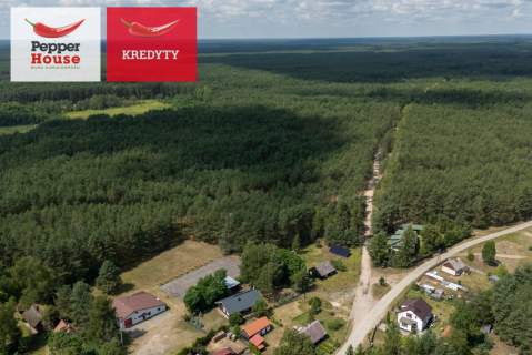 Klimat i ogromny potencjał w Borach Tucholskich