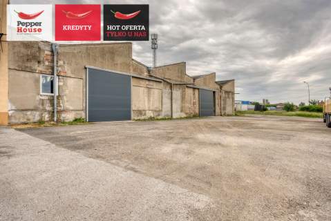 Hala 1800 m2 w Pakości - Produkcja Magazyn Biura
