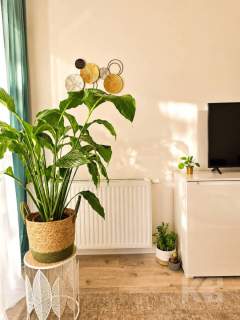 Mieszkanie 40,5m2 Sanok ul. Kwiatowa