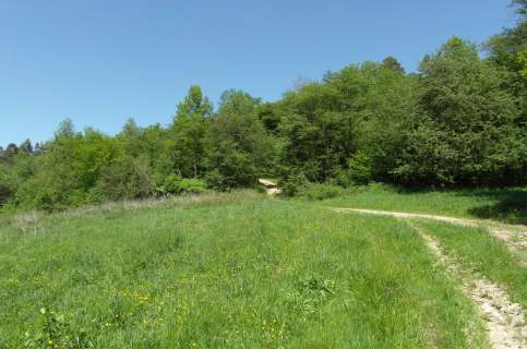 Działki 6100m2 w uroczym zakątku Bircza - las, łąka,staw