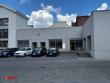 Lokale - do wynajęcia Łódź - Polesie