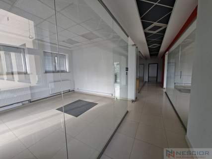 Lokal użytkowy 296,55 m ul. Chrobrego 17