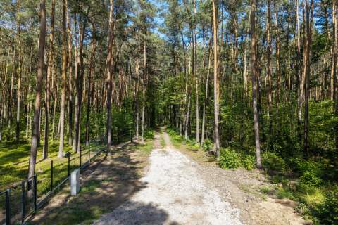 Działki pod zabudowę mieszkaniową lub letniskową