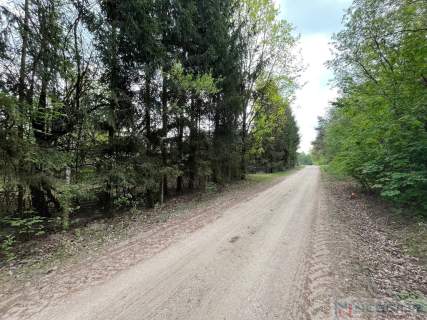 Klimatyczne siedlisko 2,2 ha z własnym lasem