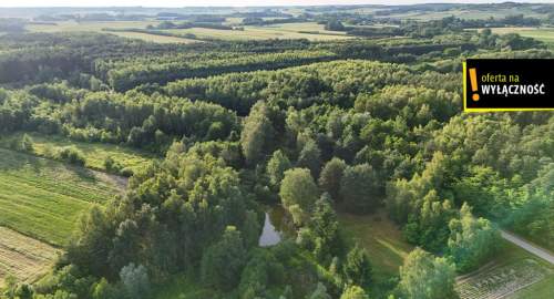 Działka ze stawem i lasem koło Solca Zdroju