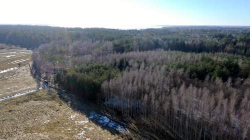Działka Leśna 2,35 ha Grzegorze gm Orzysz