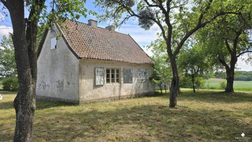 Siedlisko bez sąsiadów 4400 m2 prywatności Stary sad i wę