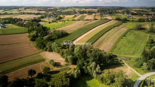 Zdzięsławice, gmina Michałowice. Działka 15 arów
