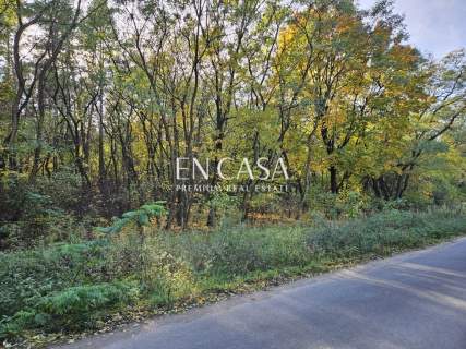 Książenice 6500 m możliwy podział, jedyna taka